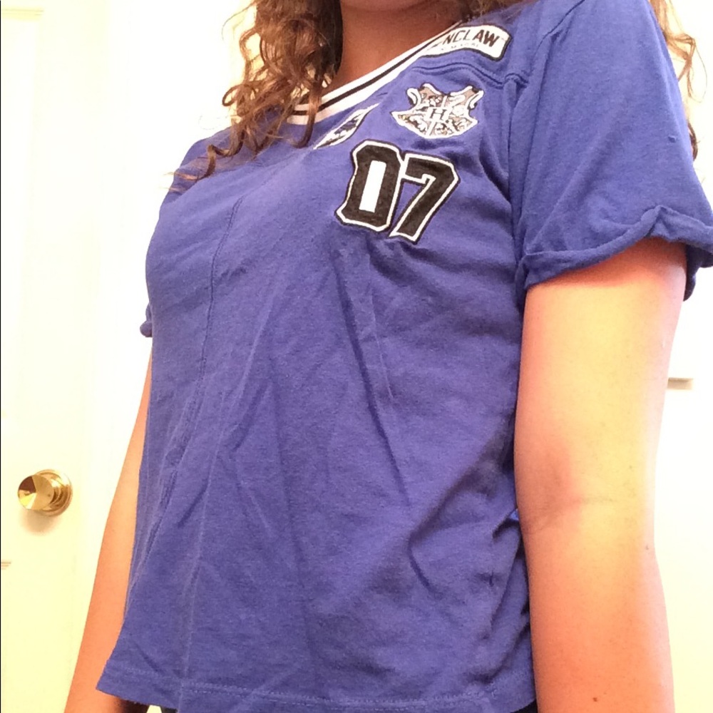Harry potter raven claw crop top